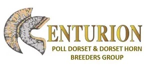Centurion Poll Dorset & Dorset Horn Breeders Group logo.